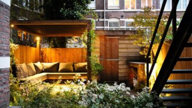 Photo of До и после: Сад на 1 (!) сотке—на заднем дворе в Амстердаме