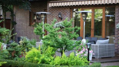 Photo of В гостях: Сад на 14 сотках, где живут круглый год